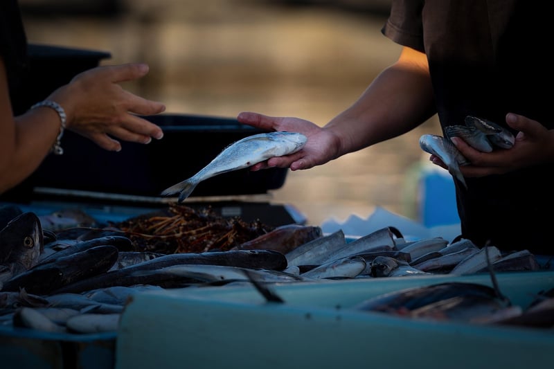 Local Food Market